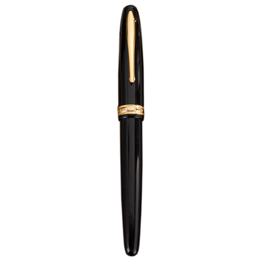 HONGDIAN 1841 Black Fountain Pen with Closed Cap
