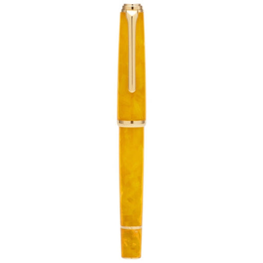 HONGDIAN N1 ORANGE Fountain Pen with Closed Cap
