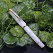 HONGDIAN N1 WHITE Fountain Pen with Closed Cap with Leaf Background