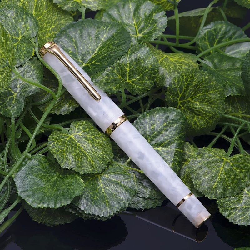 HONGDIAN N1 WHITE Fountain Pen with Closed Cap with Leaf Background