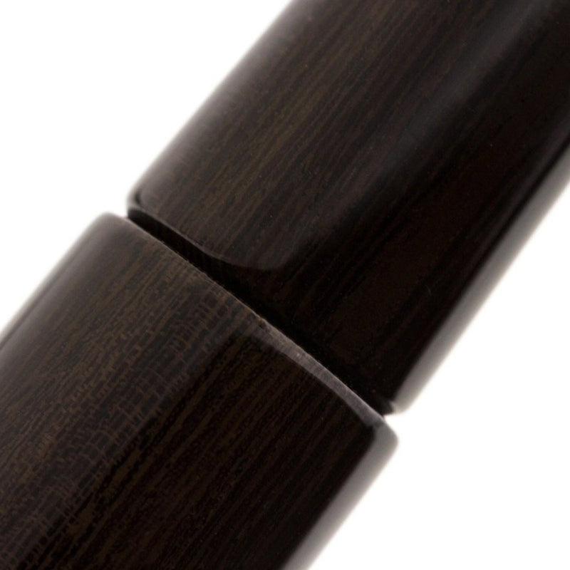 PLATINUM, Fountain Pen - IZUMO TAGAYASAN GLOSS 13