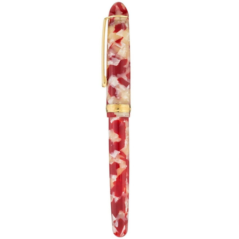 PLATINUM, Fountain Pen - #3776 CELLULOID 14K KOI 2