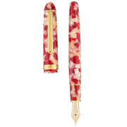 PLATINUM, Fountain Pen - #3776 CELLULOID 14K KOI 6