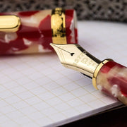 PLATINUM, Fountain Pen - #3776 CELLULOID 14K KOI 10