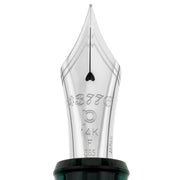 PLATINUM, Fountain Pen - #3776 CENTURY silver trim LAUREL GREEN. 8