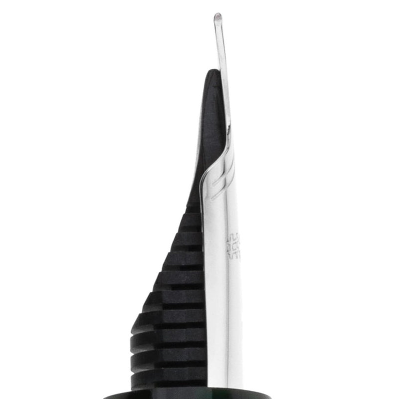 PLATINUM, Fountain Pen - #3776 CENTURY silver trim LAUREL GREEN. 9