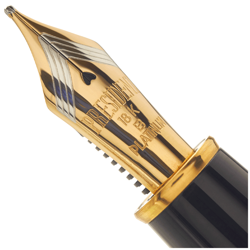 PLATINUM, Fountain Pen - IZUMO YAKUMONURI "TOGI YAKUMO".