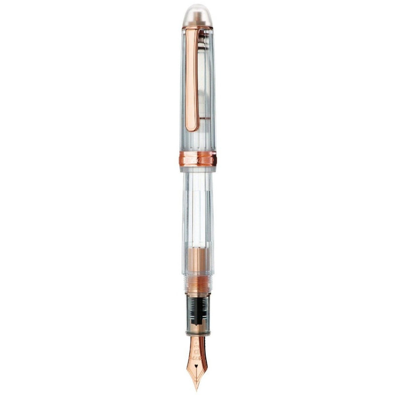 PLATINUM, Fountain Pen - #3776 CENTURY NICE ROSE 